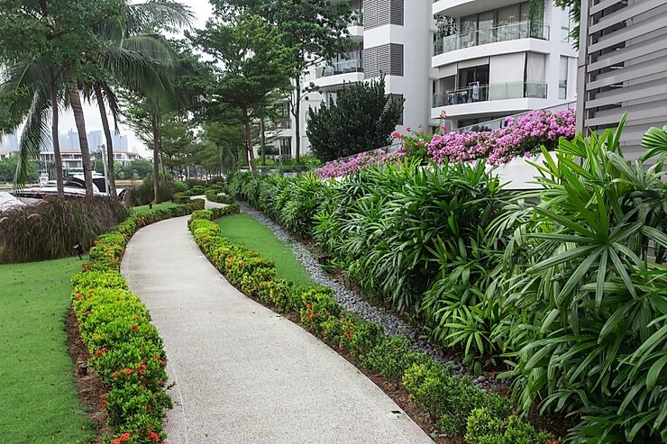The Coast Landscape Maintenance