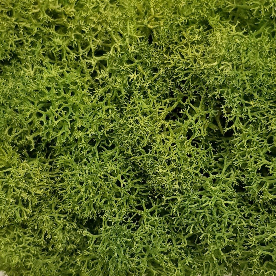 Turf Green