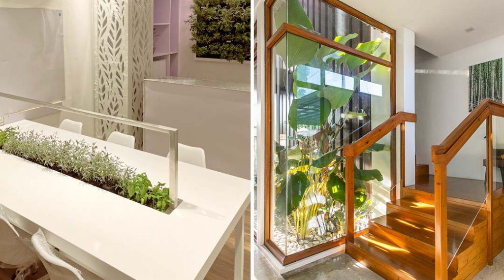 Indoor garden