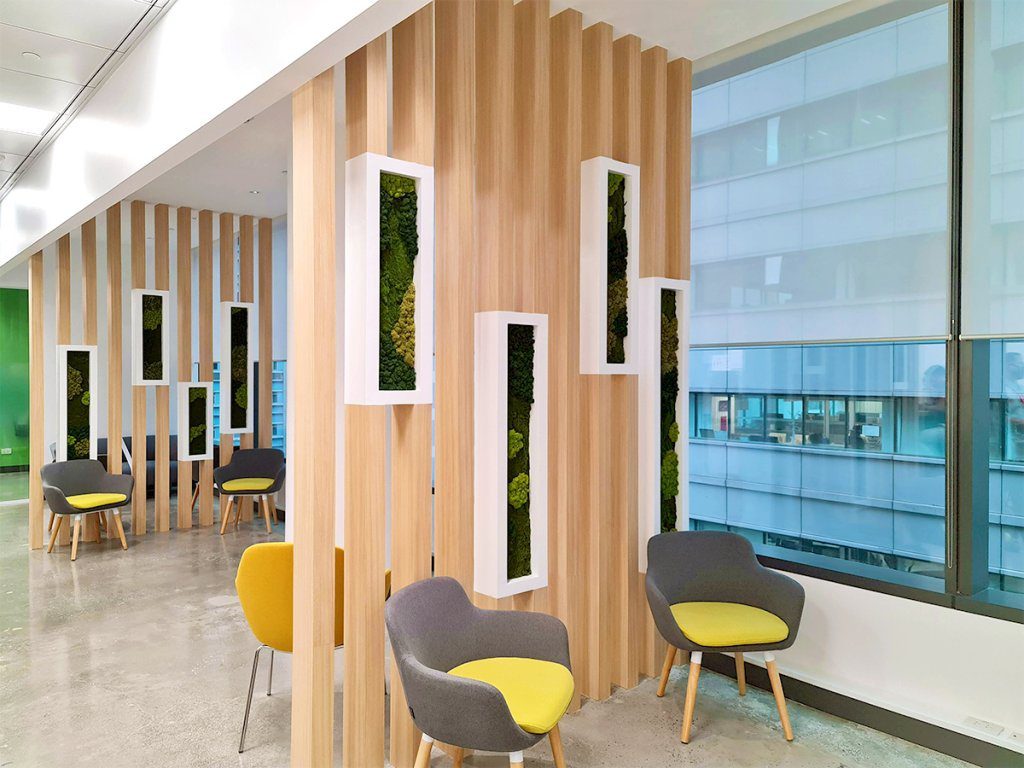indoor biophilic design