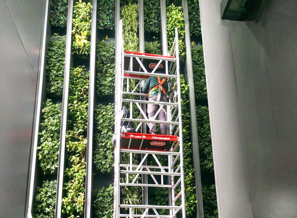 Echelon Green Wall Maintenance