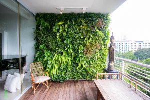 green wall plants