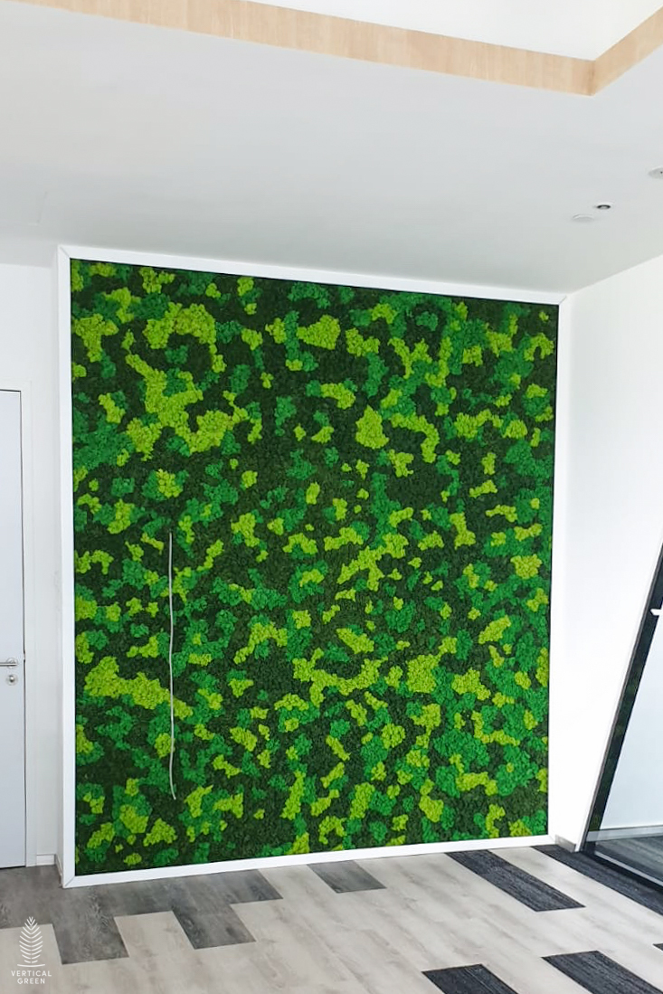 colored reindeer moss