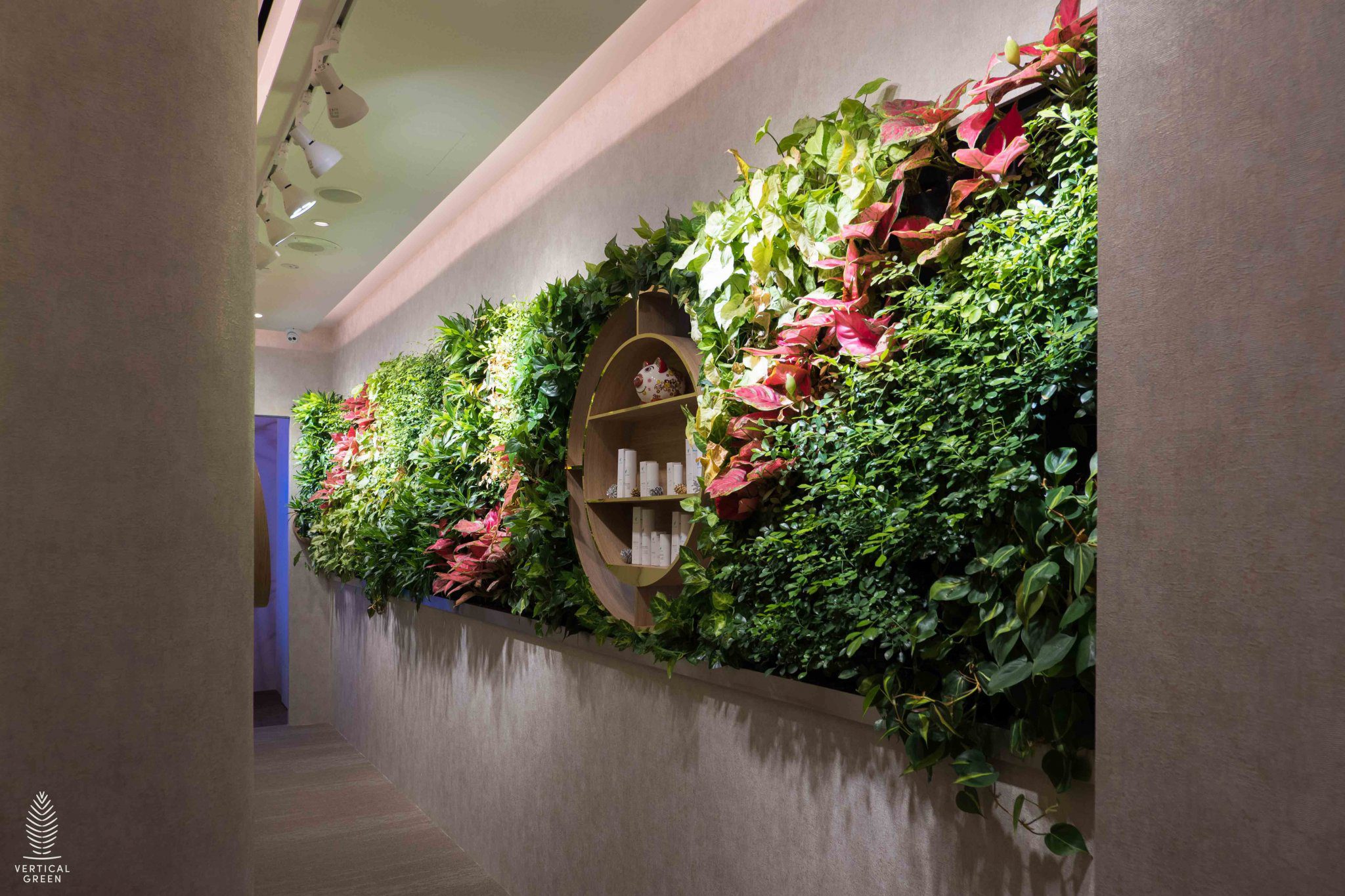 Green Wall Design Ideas for Your Space | Vertical Green