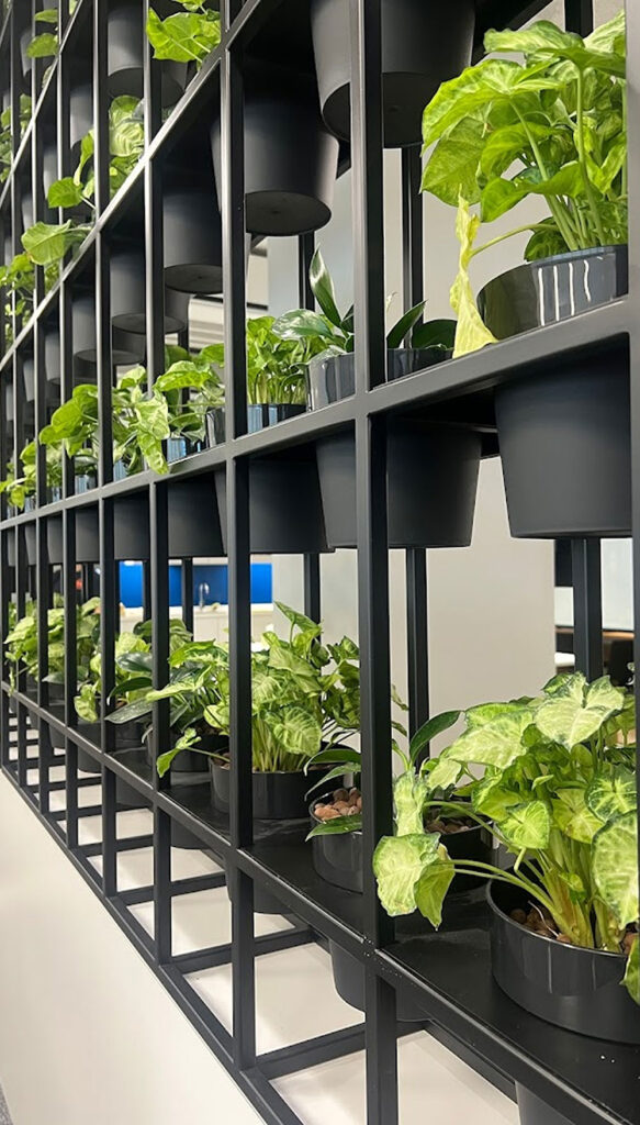 HyGro®Pot