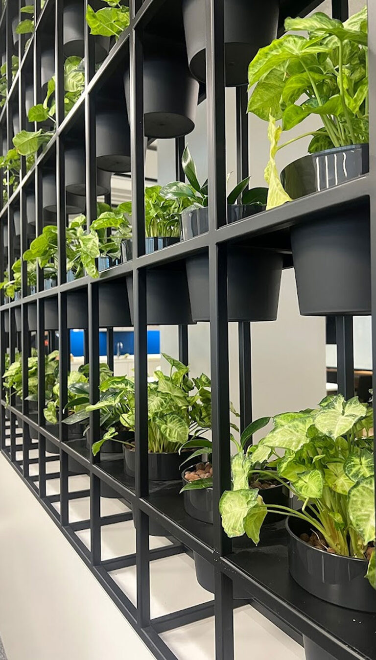 HyGro®Pot