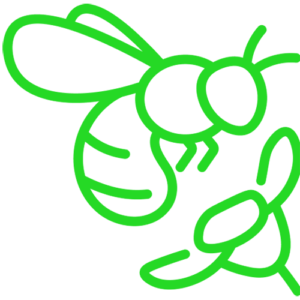 Increase Local Biodiversity