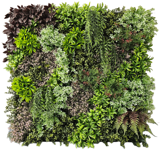 New Flora